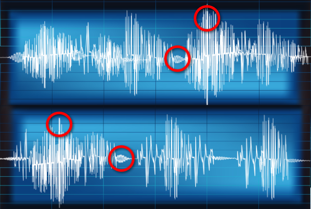 Voice stress analyzer