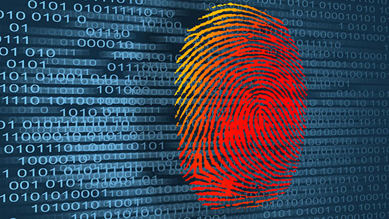 digitalforensics lacenere
